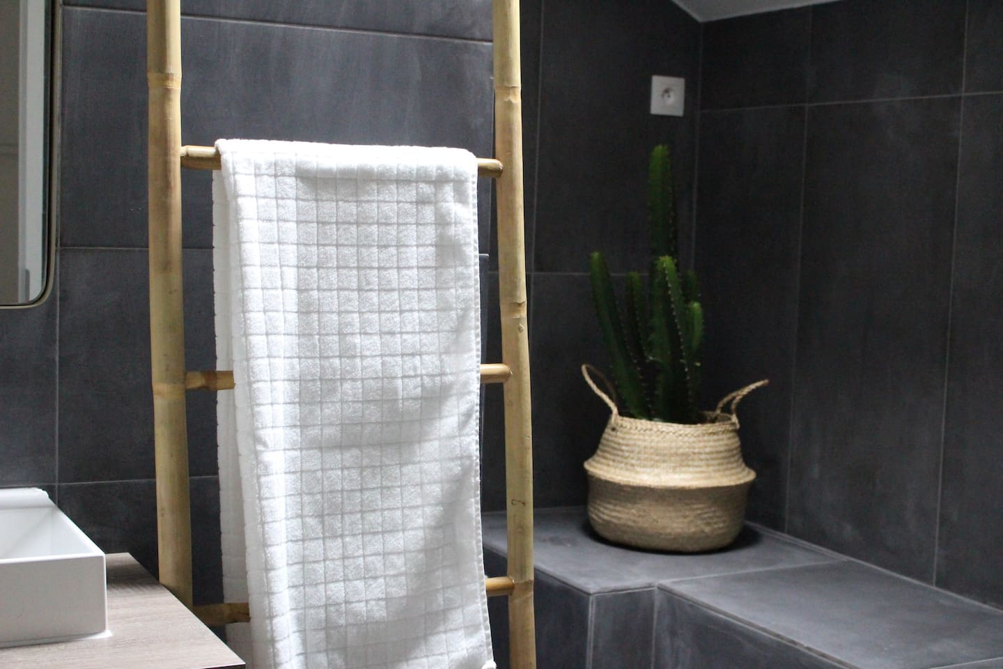 renovation-salle-de-douche-2